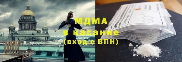 шишки Пересвет