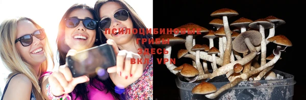 круглые Алексеевка