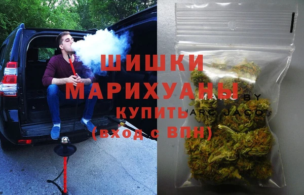 метадон Алексин