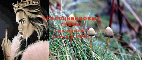 гашик Майский