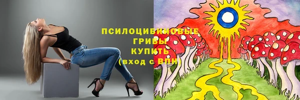метадон Алексин