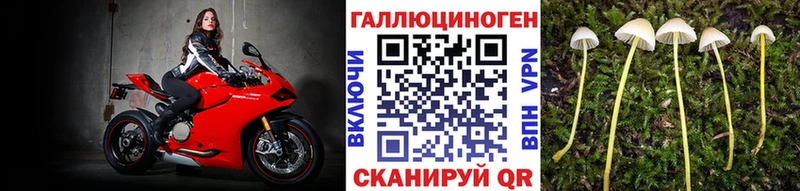 Галлюциногенные грибы мухоморы  наркота  Иланский 