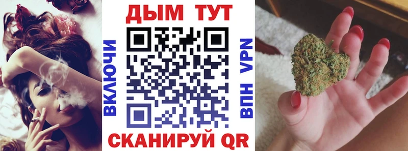 Каннабис планчик  Иланский 